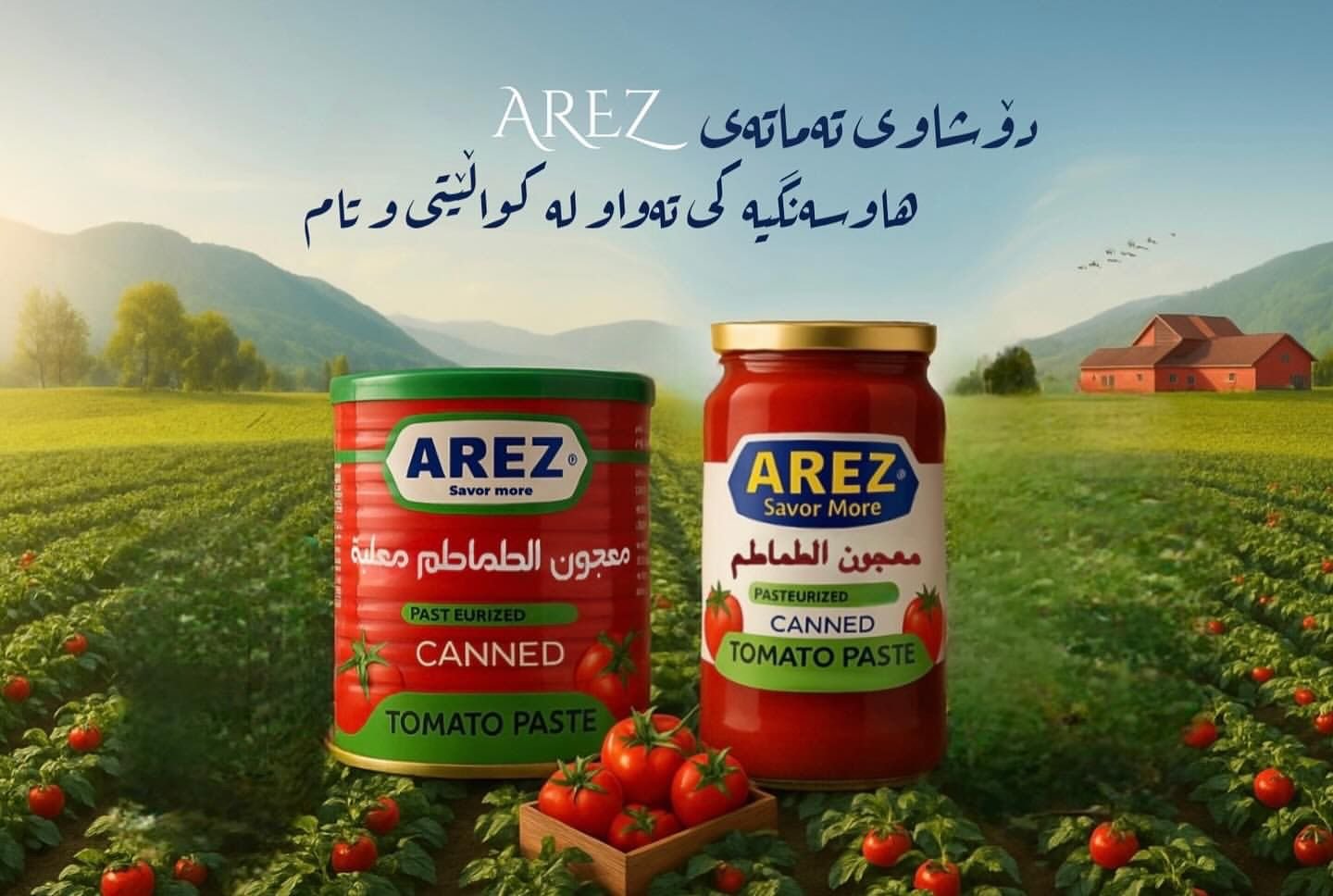 معجون تماتەی ئاریز